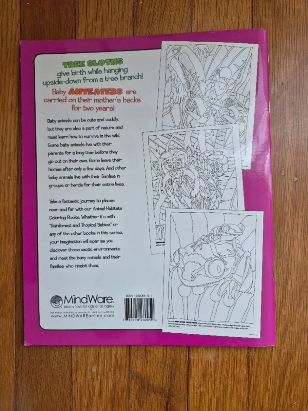NEW Animal Habitats Coloring Book-Rainforest & Tropical Babies